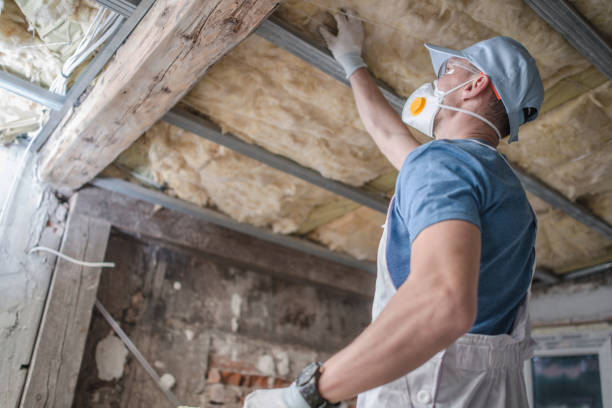 Best Insulation Maintenance and Repair in Metlatla, AK