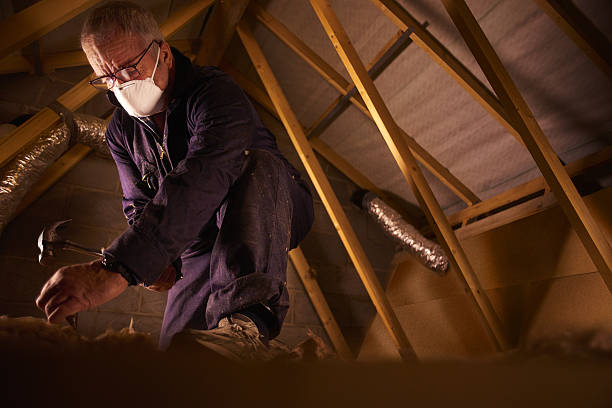Best Types of Insulation in Metlatla, AK